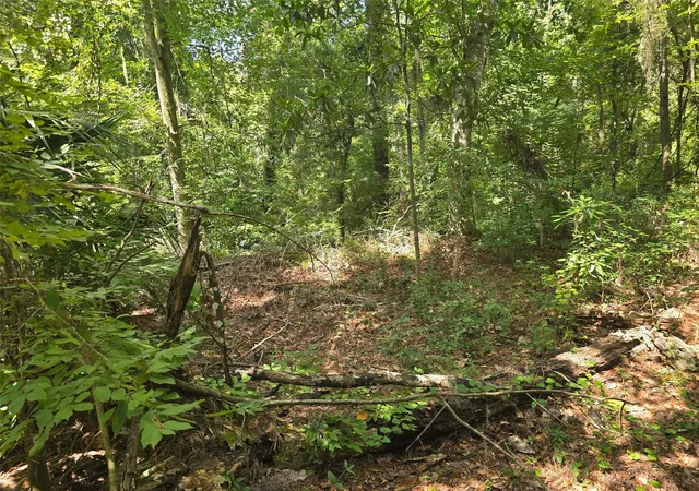 5th image of Tbd Nw Spring Hollow Blvd, Lake City, FL 32055 | MLS# GC542810