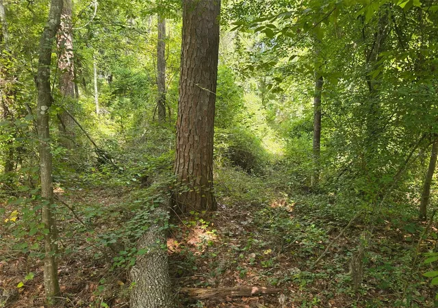 10th image of Tbd Nw Spring Hollow Blvd, Lake City, FL 32055 | MLS# GC542810