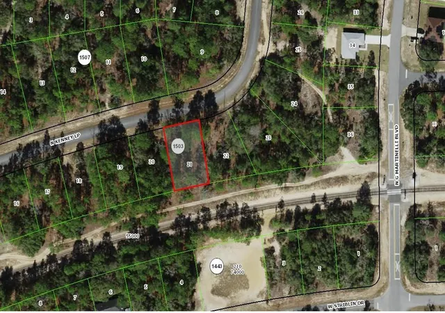 3rd image of 11351 N Kenney Loop, Dunnellon, FL 34433 | MLS# OM730581