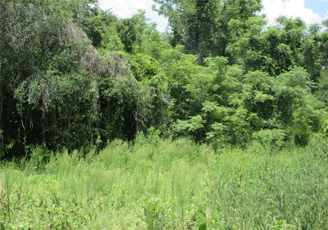 Photo 1 of Land for sale at Tbd Se 18th Street, Silver Springs, FL 34488 | MLS# OM730582 | Listing updated on 2026-08-18