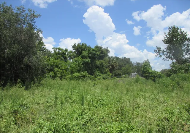 Photo 2 of Land for sale at Tbd Se 18th Street, Silver Springs, FL 34488 | MLS# OM730582 | Listing updated on 2026-08-18