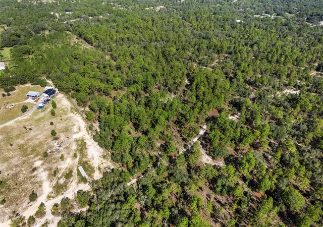 2nd image of 10686 N Statue Pt, Dunnellon, FL 34433 | MLS# OM730591