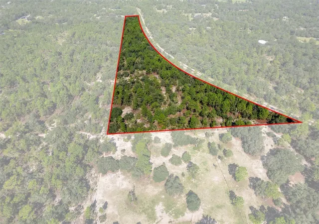 1st image of 10806 N Statue Pt, Dunnellon, FL 34433 | MLS# OM730596