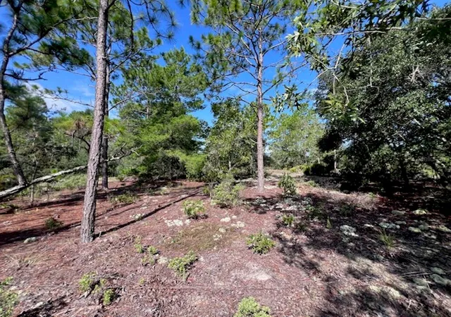 21st image of 10806 N Statue Pt, Dunnellon, FL 34433 | MLS# OM730596