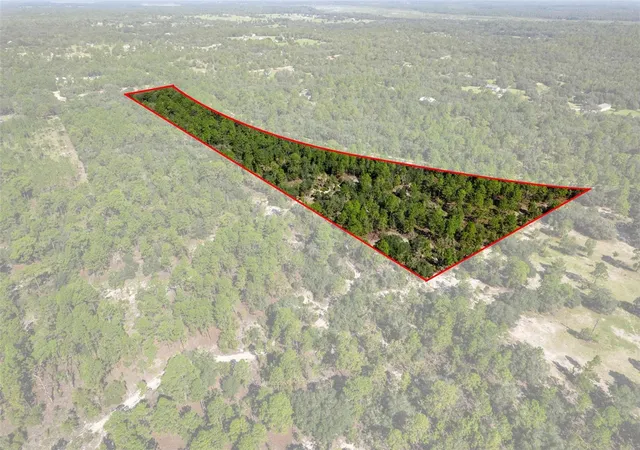 Photo 3 of Land for sale at 10806 N Statue Point, Dunnellon, FL 34433 | MLS# OM730596 | Listing updated on 2026-08-18
