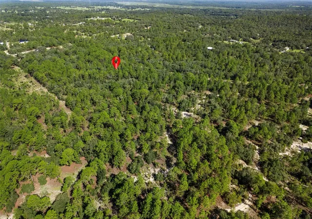 Photo 4 of Land for sale at 10806 N Statue Point, Dunnellon, FL 34433 | MLS# OM730596 | Listing updated on 2026-08-18