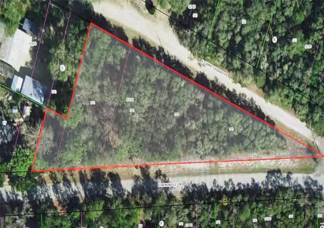 1st image of 4114 E Camp Izzard Pl, Dunnellon, FL 34434 | MLS# OM730599