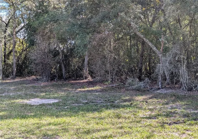 2nd image of 4114 E Camp Izzard Pl, Dunnellon, FL 34434 | MLS# OM730599
