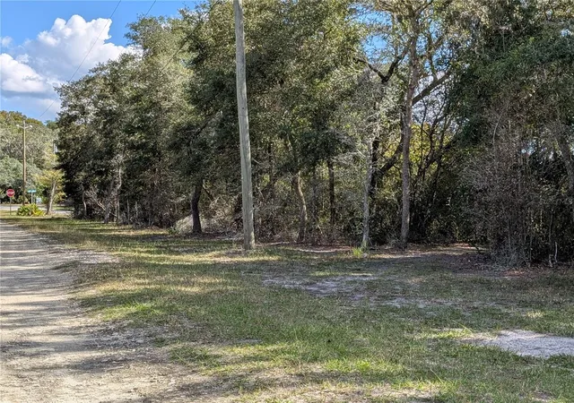 4th image of 4114 E Camp Izzard Pl, Dunnellon, FL 34434 | MLS# OM730599
