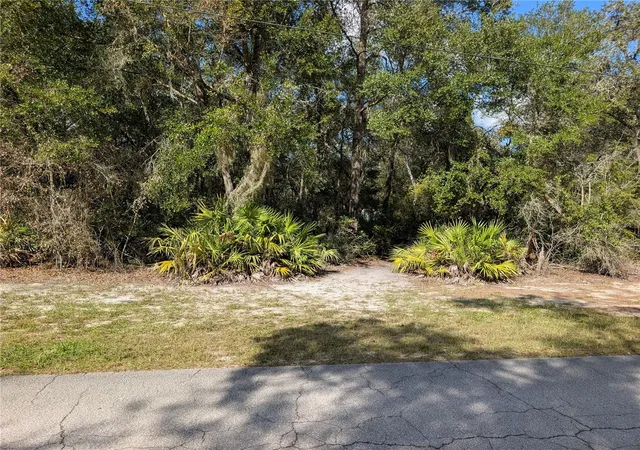 9th image of 4114 E Camp Izzard Pl, Dunnellon, FL 34434 | MLS# OM730599