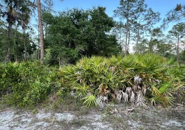 1st image of 13352 Rodin Dr, Punta Gorda, FL 33955 | MLS# TB8539758