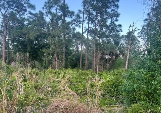 3rd image of 13352 Rodin Dr, Punta Gorda, FL 33955 | MLS# TB8539758