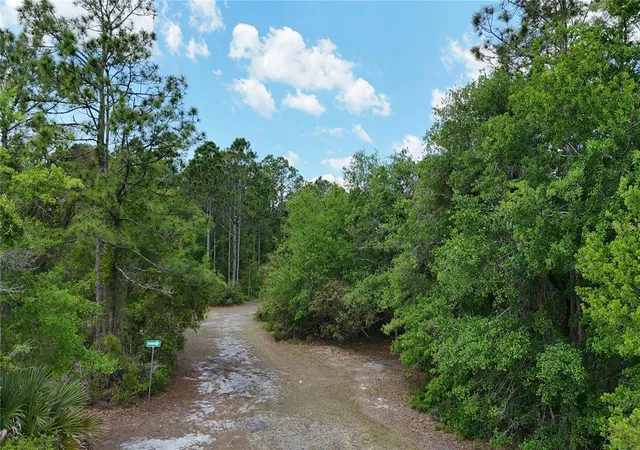 20th image of 1389 Shipwreck Ln, Saint Cloud, FL 34771 | MLS# S5155800