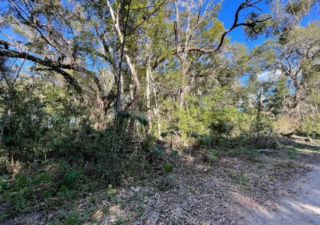 Photo 3 of Land for sale at 13581 119th Place, Ocklawaha, FL 32179 | MLS# G5116583 | Listing updated on 2026-08-18