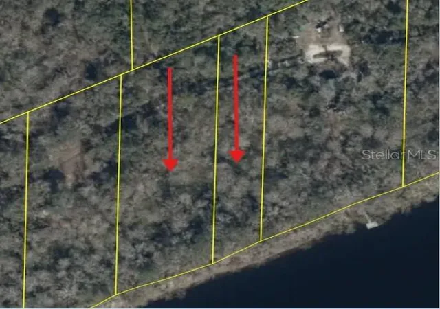 Photo 1 of Land for sale at 893 Ne 930 Street, Old Town, FL 32680 | MLS# W7888679 | Listing updated on 2026-08-28