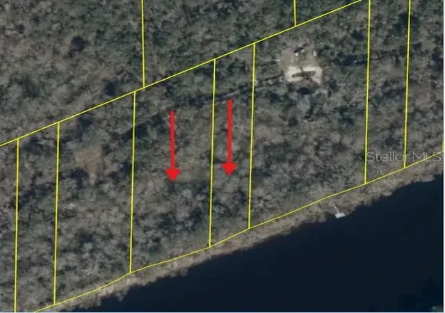 Photo 2 of Land for sale at 893 Ne 930 Street, Old Town, FL 32680 | MLS# W7888679 | Listing updated on 2026-08-28