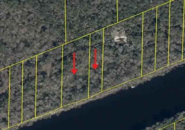 Photo 3 of Land for sale at 893 Ne 930 Street, Old Town, FL 32680 | MLS# W7888679 | Listing updated on 2026-08-28