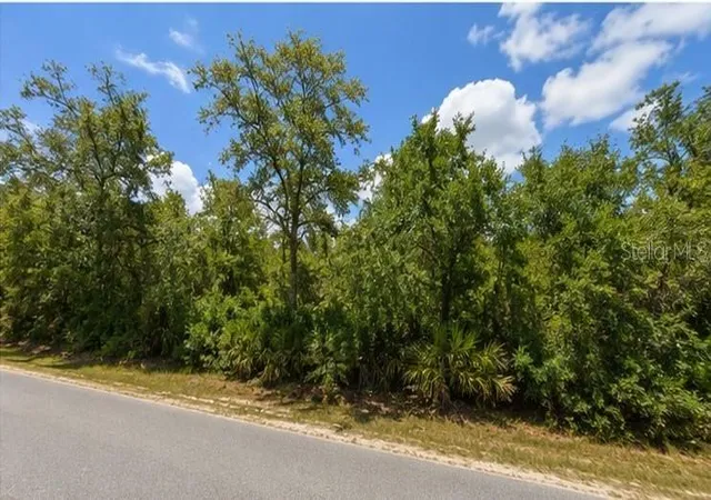 1st image of 00 Country Rd, Eustis, FL 32726 | MLS# O6434423
