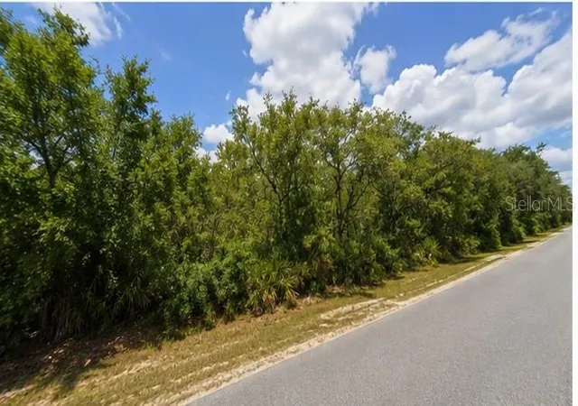 3rd image of 00 Country Rd, Eustis, FL 32726 | MLS# O6434423