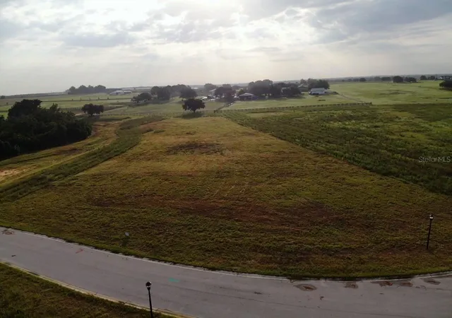 3rd image of 10023 White Egret Dr, Thonotosassa, FL 33592 | MLS# O6434465