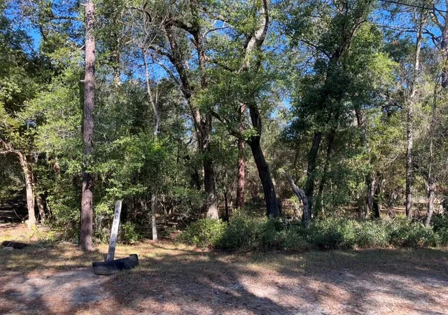7th image of North Rd, Altoona, FL 32702 | MLS# OM730626