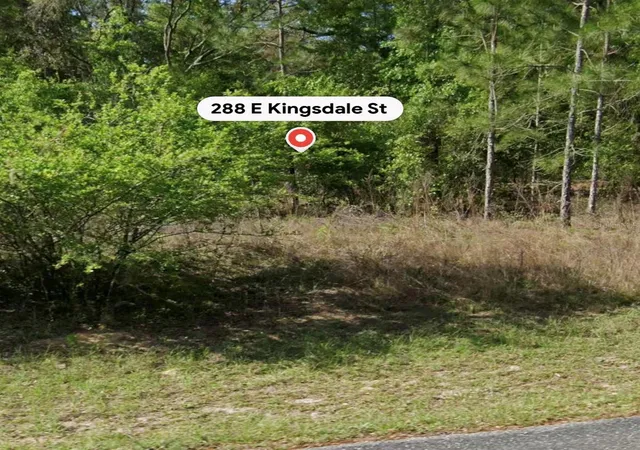 2nd image of 288 E Kingsdale St, Dunnellon, FL 34434 | MLS# TB8539882