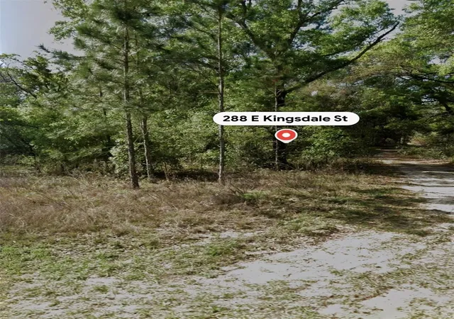 3rd image of 288 E Kingsdale St, Dunnellon, FL 34434 | MLS# TB8539882
