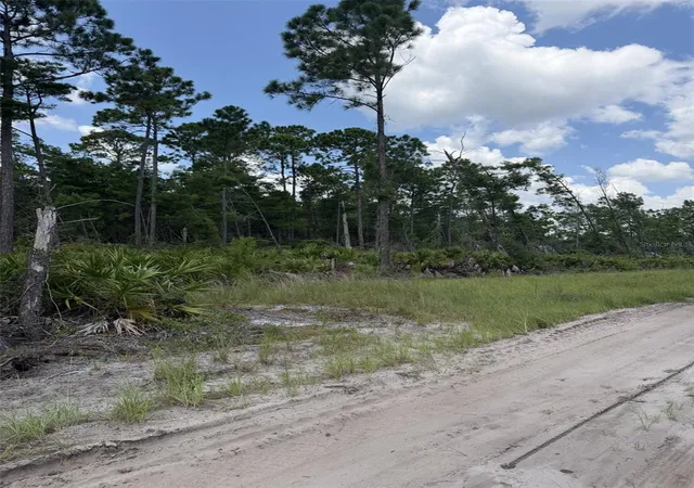 3rd image of 00 Ridgehaven Ave, Ormond Beach, FL 32174 | MLS# FC320774