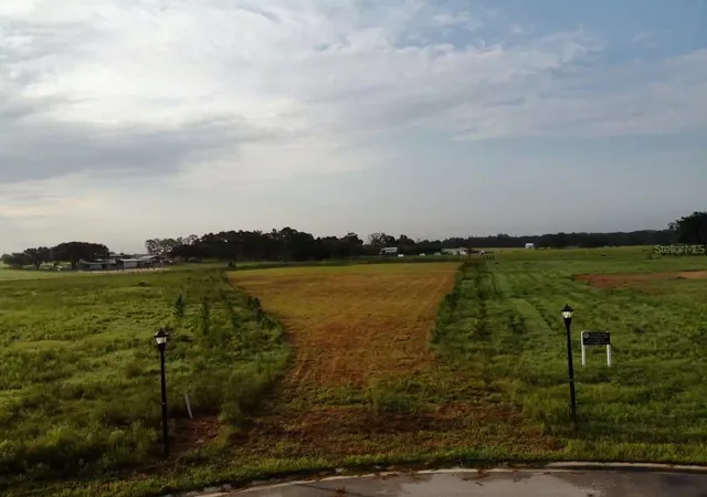3rd image of 10011 White Egret Dr, Thonotosassa, FL 33592 | MLS# O6434518