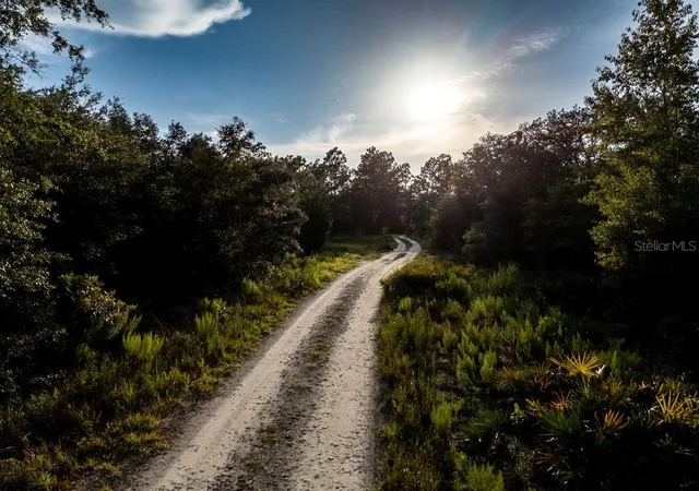 Photo 2 of Land for sale at Tbd Ne 50th Lane, Williston, FL 32696 | MLS# OM730633 | Listing updated on 2026-08-19