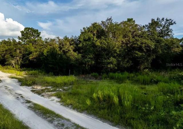 Photo 3 of Land for sale at Tbd Ne 50th Lane, Williston, FL 32696 | MLS# OM730633 | Listing updated on 2026-08-19