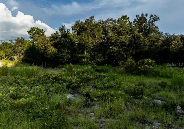 Photo 3 of Land for sale at Tbd NE 50th Lane, Williston, FL 32696 | MLS# OM730633 | Listing updated on 2026-08-19
