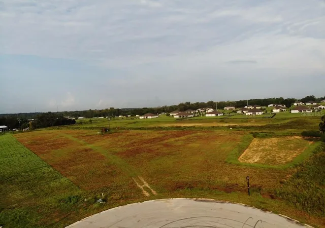 1st image of 10016 White Egret Dr, Thonotosassa, FL 33592 | MLS# O6434528
