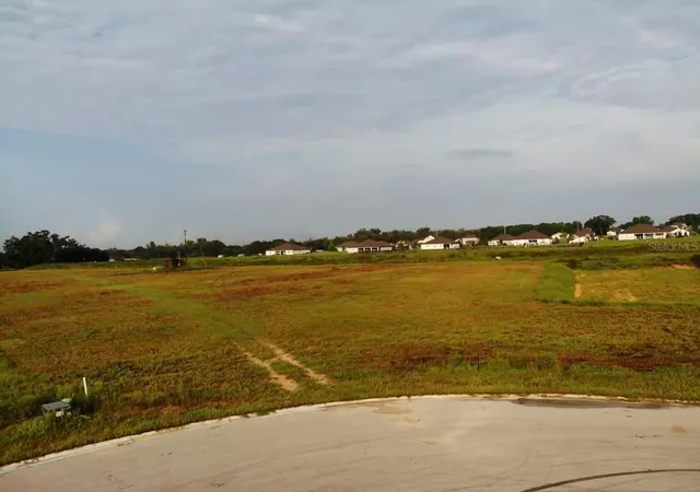 Photo 3 of Land for sale at 10016 White Egret Dr, Thonotosassa, FL 33592 | MLS# O6434528 | Listing updated on 2026-08-19