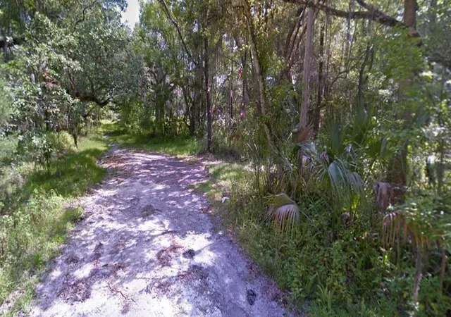 3rd image of 00 S Bailey Ave, Brooksville, FL 34601 | MLS# TB8539952