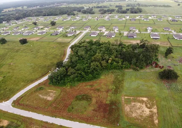 1st image of White Egret Dr, Thonotosassa, FL 33592 | MLS# O6434551