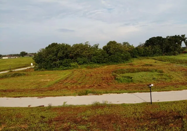 2nd image of White Egret Dr, Thonotosassa, FL 33592 | MLS# O6434551