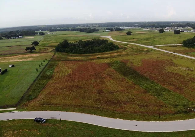 1st image of 11625 Spoonbill Run Dr, Thonotosassa, FL 33592 | MLS# O6434557