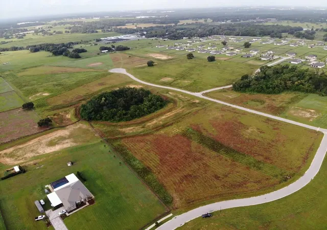 3rd image of 11625 Spoonbill Run Dr, Thonotosassa, FL 33592 | MLS# O6434557