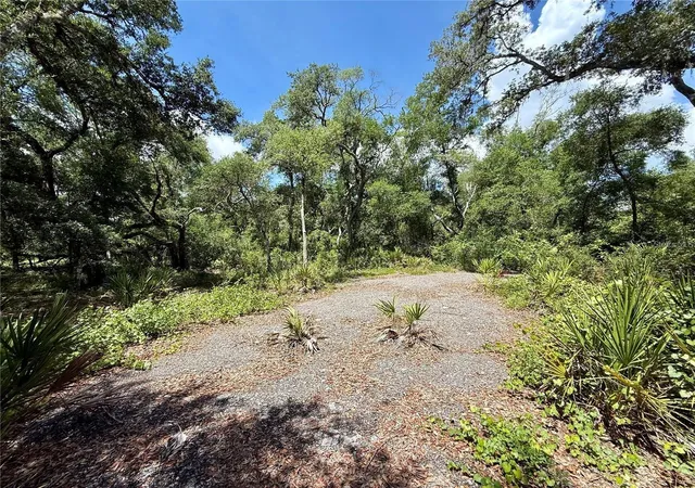 3rd image of Lot 10 Long Cir, Webster, FL 33597 | MLS# C7529729
