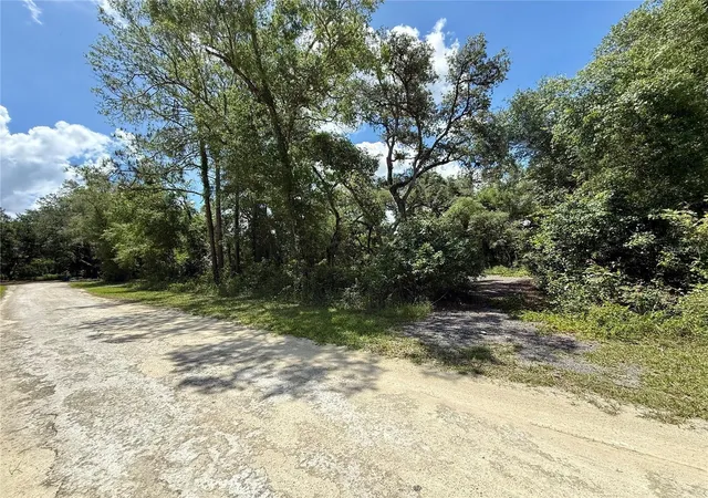 5th image of Lot 10 Long Cir, Webster, FL 33597 | MLS# C7529729