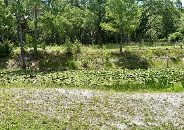 7th image of Lot 10 Long Cir, Webster, FL 33597 | MLS# C7529729