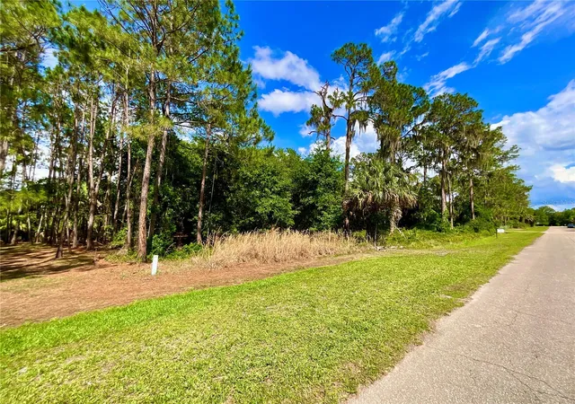 3rd image of 14029 Se 201St Ter, Hawthorne, FL 32640 | MLS# GC542838