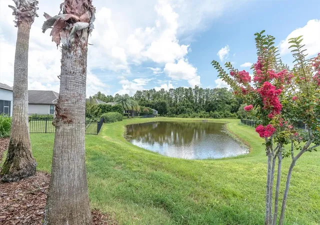 4th image of 8454 May Port Ct, Land O Lakes, FL 34638 | MLS# W7888700