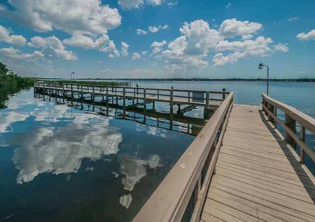 60th image of 3944 Silk Oak Ln, Palm Harbor, FL 34685 | MLS# TB8540074