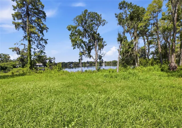2nd image of 13416 N Lincoln Ave, Tampa, FL 33618 | MLS# TB8540092