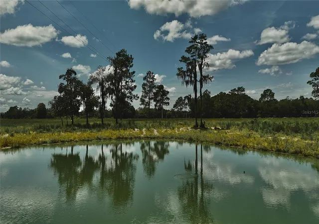 Photo 2 of Land for sale at 4802 Nw 50th Road, Starke, FL 32091 | MLS# OM730652 | Listing updated on 2026-08-19