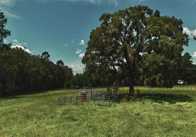 Photo 3 of Land for sale at 4802 NW 50th Road, Starke, FL 32091 | MLS# OM730652 | Listing updated on 2026-08-19