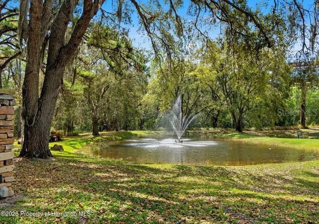 44th image of 11200 Woodland Waters Blvd, Weeki Wachee, FL 34613 | MLS# W7888704