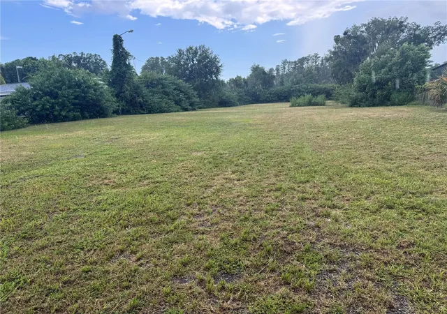 2nd image of Land O' Lakes Blvd, Land O Lakes, FL 34638 | MLS# TB8540170